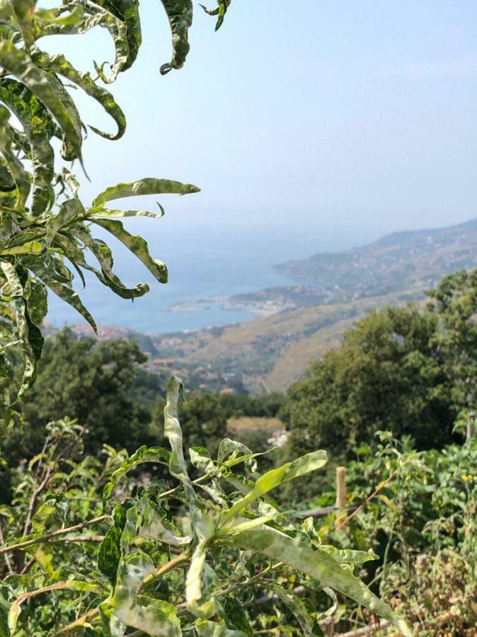 La Terrazza Di Carmen E Fausto Lägenhet Cetraro Exteriör bild